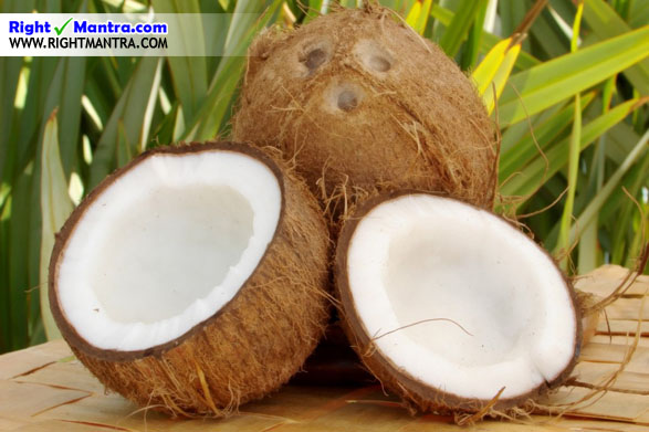 Coconut1